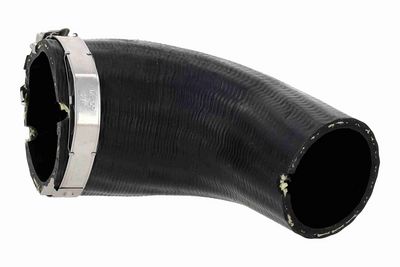 FURTUN EAR SUPRAALIMENTARE ACKOJA A520884 2