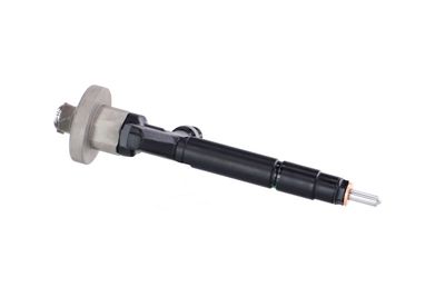 INJECTOR REMANTE 002003000191R 44