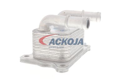 RADIATOR ULEI ULEI MOTOR ACKOJA A38600004 51