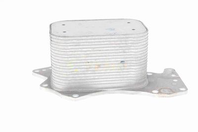 RADIATOR ULEI ULEI MOTOR VEMO V15606069 5