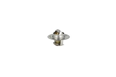 TERMOSTAT LICHID RACIRE NRF 725135 35
