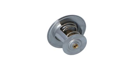 TERMOSTAT LICHID RACIRE NRF 725036 24