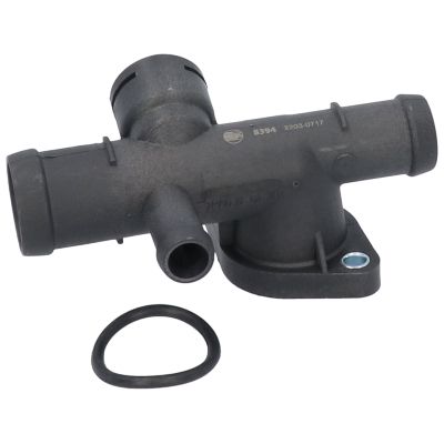 FLANSA LICHID RACIRE BIRTH 8394