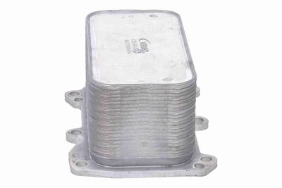 RADIATOR ULEI ULEI MOTOR VEMO V30600042 5