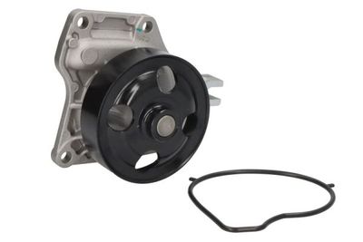 Water Pump, engine cooling D13041TT