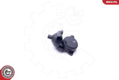 Oil Separator, crankcase ventilation 31SKV076