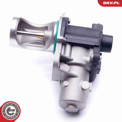 SUPAPA EGR ESEN SKV 14SKV172 2
