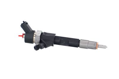 INJECTOR REMANTE 002003000022R 43