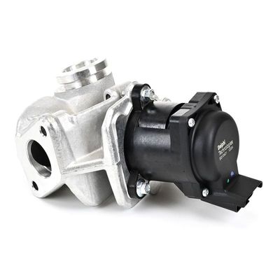 AGR-VENTIL DELPHI EG1040112B1 22