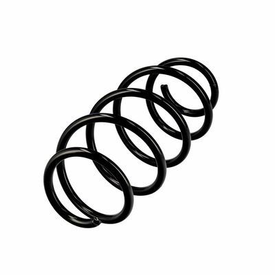 ARC SPIRAL EIBACH R10569 3