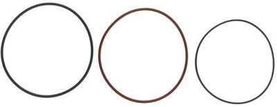 CLEVITE Gasket, cylinder liner