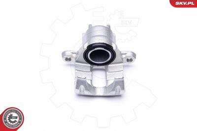 Brake Caliper 46SKV863