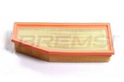 Oro filtras