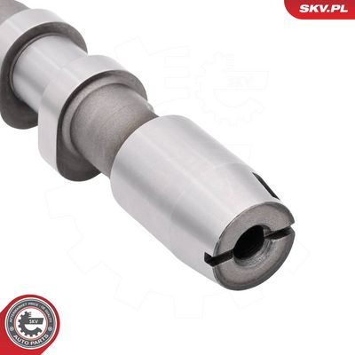 AX CU CAME ESEN SKV 80SKV034 4