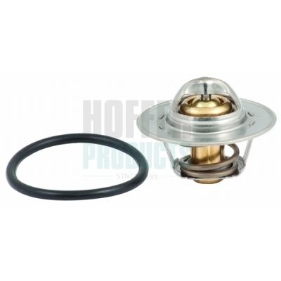 TERMOSTAT LICHID RACIRE