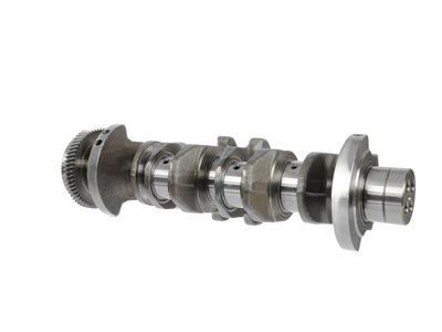 ARBORE COTIT ET ENGINETEAM HK0183 21