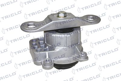 окачване, двигател TRICLO 368738