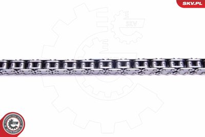 Timing Chain Kit 21SKV120