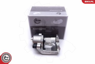 Brake Caliper 55SKV892