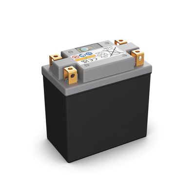 BATERIE DE PORNIRE BOSCH 0986122622 19