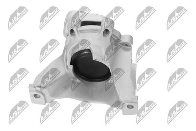 SUPORT MOTOR NTY ZPSHD123 17