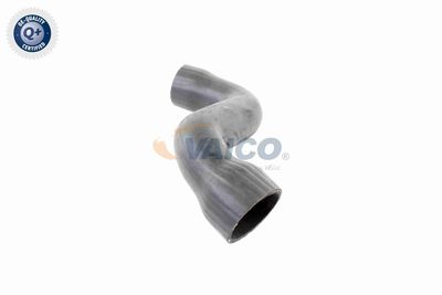 FURTUN EAR SUPRAALIMENTARE VAICO V103826 7