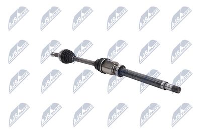 PLANETARA NTY NPWFR074 29