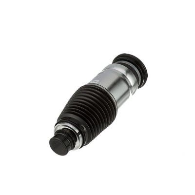 LUFTFEDERBEIN Arnott AS3380 36