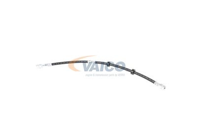 FURTUN FRANA VAICO V104226 5