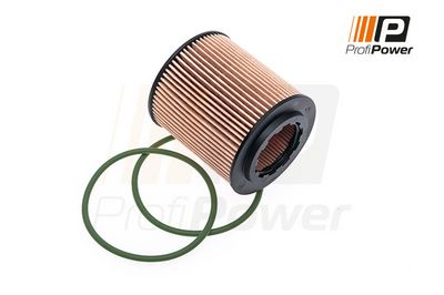 alyvos filtras 1F0024 ProfiPower
