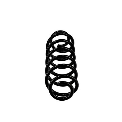 ARC SPIRAL EIBACH R10159 13