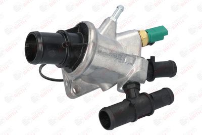 FLANSA LICHID RACIRE BIRTH 80007 1