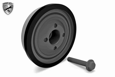 SET FULIE ARBORE COTIT VAICO V251723