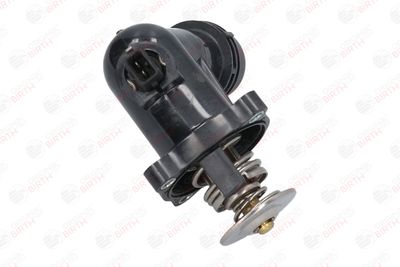 FLANSA LICHID RACIRE BIRTH 8988 10