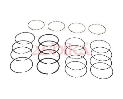 SEGMENT PISTON
