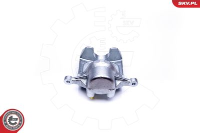 Brake Caliper 45SKV171