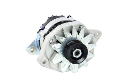 GENERATOR / ALTERNATOR REMANTE 011003000081R 57