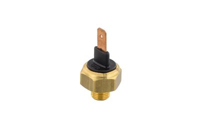SENZOR TEMPERATURA LICHID DE RACIRE