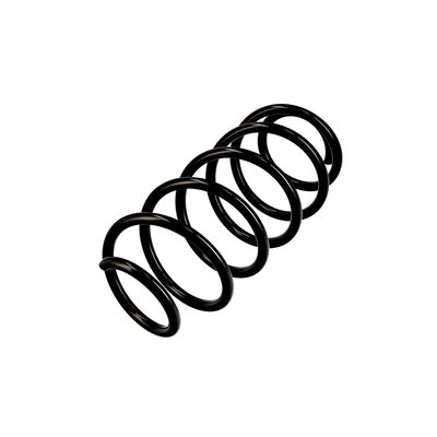 ARC SPIRAL EIBACH R10255 3