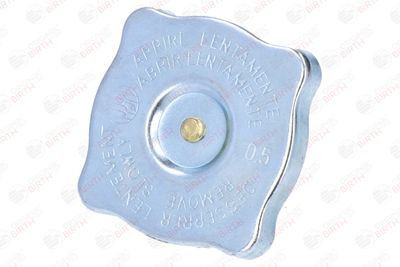 BUSON RADIATOR BIRTH 8087 1