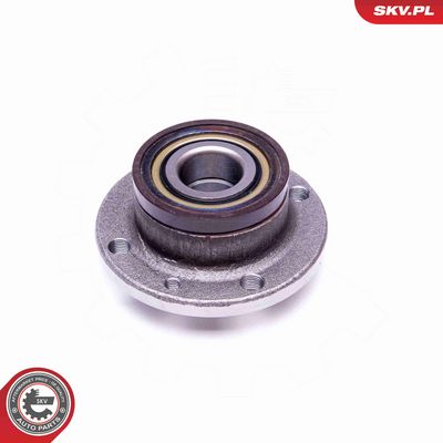 SET RULMENT ROATA ESEN SKV 29SKV419 1