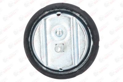 SUPORT MOTOR BIRTH 50124 6