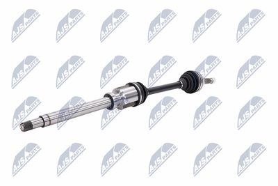 PLANETARA NTY NPWFR063 3