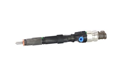 INJECTOR REMANTE 002003002073R 10