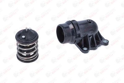 FLANSA LICHID RACIRE BIRTH 81102 6