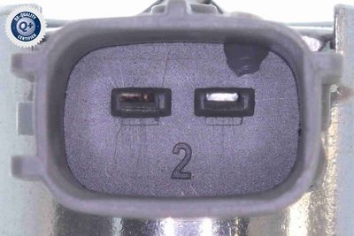 POMPA DE INALTA PRESIUNE ACKOJA A32250001 2