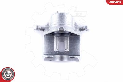 Brake Caliper 50SKV771