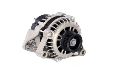 GENERATOR / ALTERNATOR REMANTE 011003000566R 53