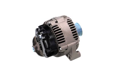 GENERATOR / ALTERNATOR REMANTE 011003000789R 38