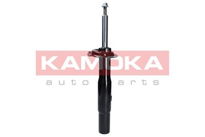 Shock Absorber 2000036